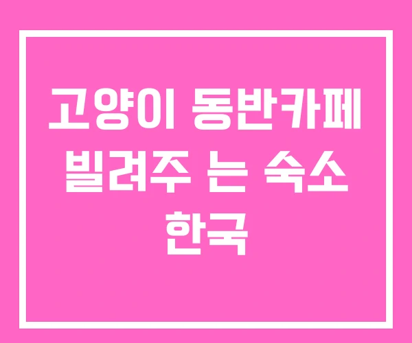 고양이 동반카페 빌려주 는 숙소 한국