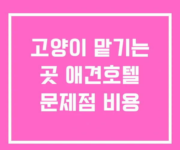 고양이 맡기는 곳 애견호텔 문제점 비용
