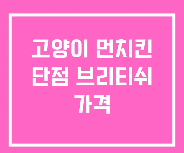 고양이 먼치킨 단점 브리티쉬 가격