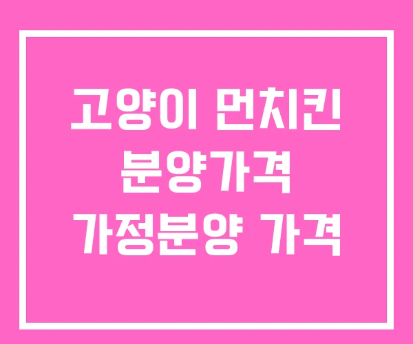 고양이 먼치킨 분양가격 가정분양 가격
