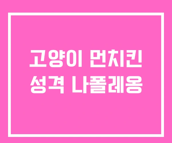 고양이 먼치킨 성격 나폴레옹