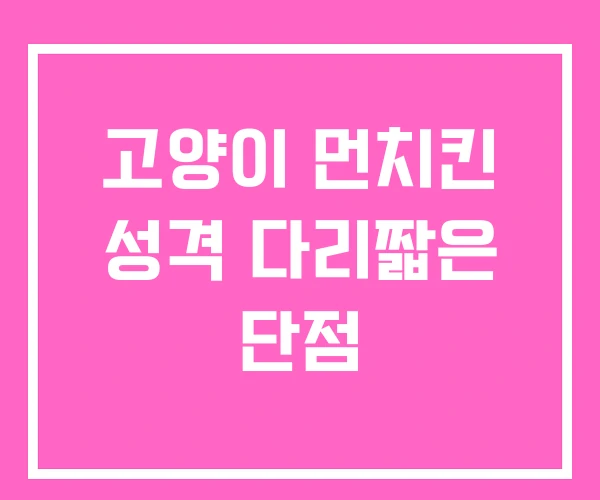 고양이 먼치킨 성격 다리짧은 단점 고양이 먼치킨 성격 다리짧은 단점