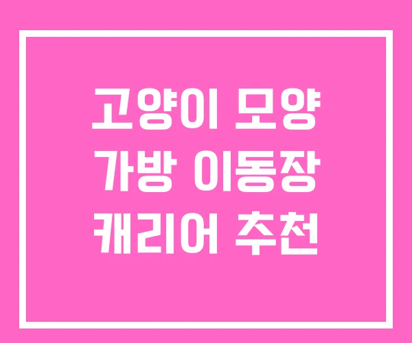 고양이 모양 가방 이동장 캐리어 추천