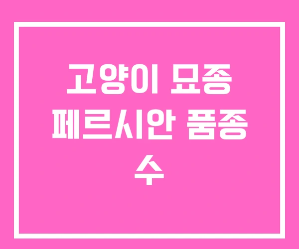 고양이 묘종 페르시안 품종 수 고양이 묘종 페르시안 품종 수