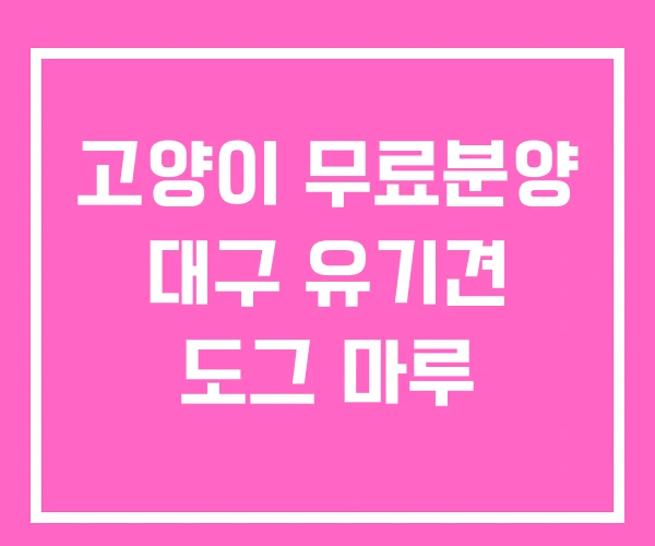 고양이 무료분양 대구 유기견 도그 마루