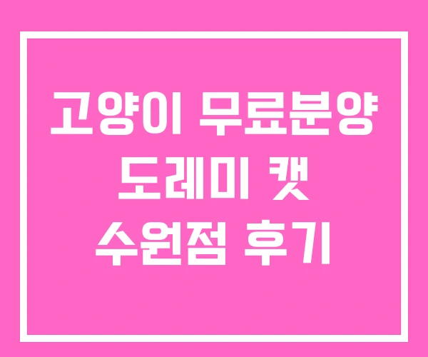 고양이 무료분양 도레미 캣 수원점 후기