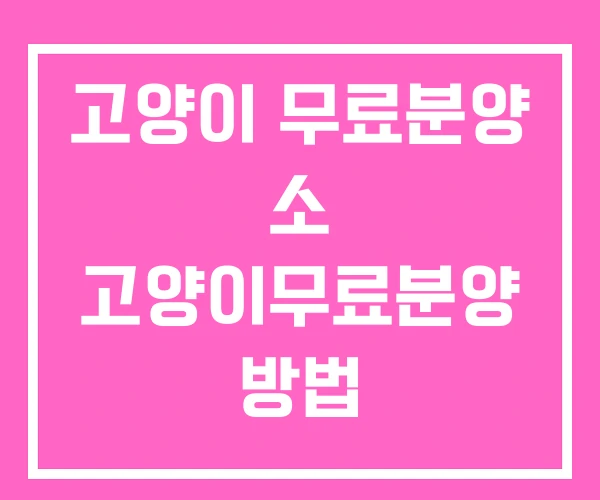 고양이 무료분양 소 고양이무료분양 방법