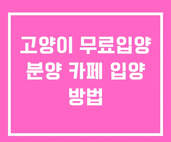 고양이 무료입양 분양 카페 입양 방법