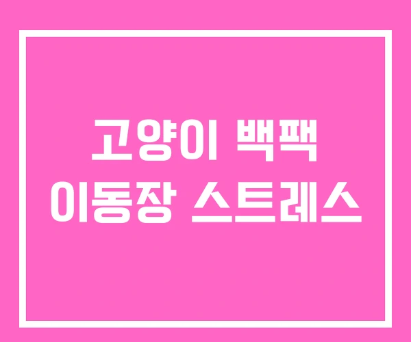 고양이 백팩 이동장 스트레스