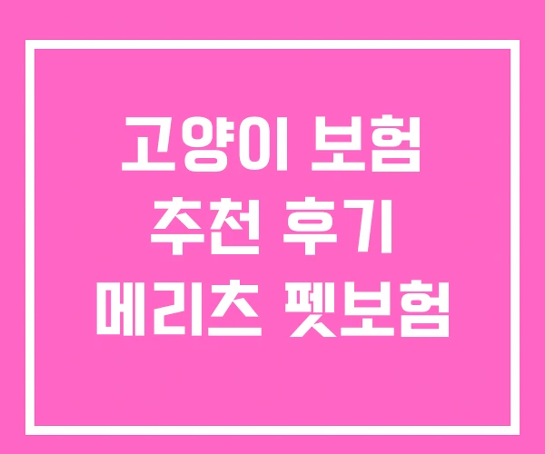 고양이 보험 추천 후기 메리츠 펫보험 고양이 보험 추천 후기 메리츠 펫보험