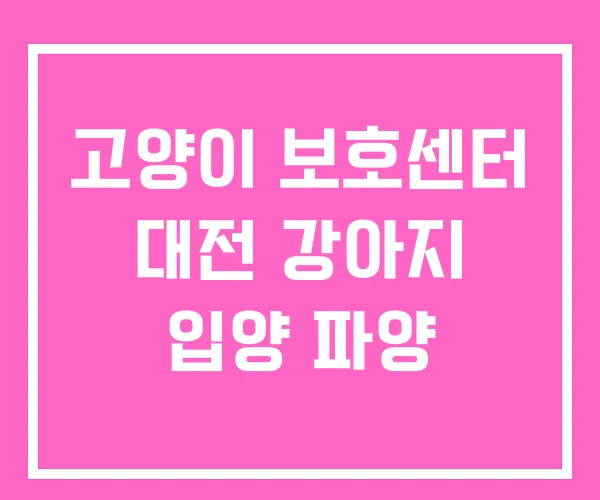 고양이 보호센터 대전 강아지 입양 파양 고양이 보호센터 대전 강아지 입양 파양