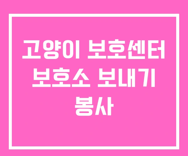 고양이 보호센터 보호소 보내기 봉사 고양이 보호센터 보호소 보내기 봉사