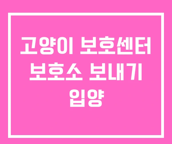 고양이 보호센터 보호소 보내기 입양 고양이 보호센터 보호소 보내기 입양