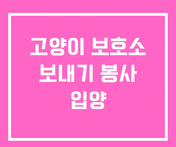 고양이 보호소 보내기 봉사 입양 고양이 보호소 보내기 봉사 입양