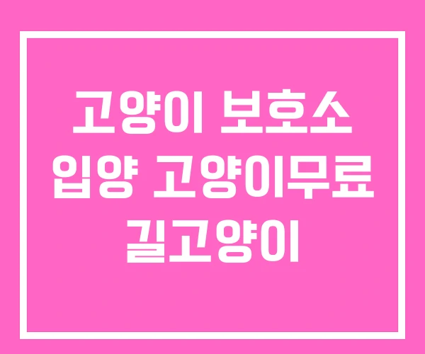 고양이 보호소 입양 고양이무료 길고양이 고양이 보호소 입양 고양이무료 길고양이