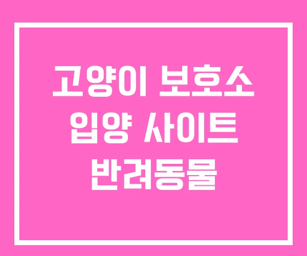 고양이 보호소 입양 사이트 반려동물