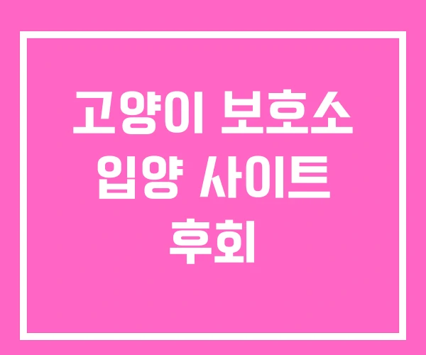 고양이 보호소 입양 사이트 후회 고양이 보호소 입양 사이트 후회