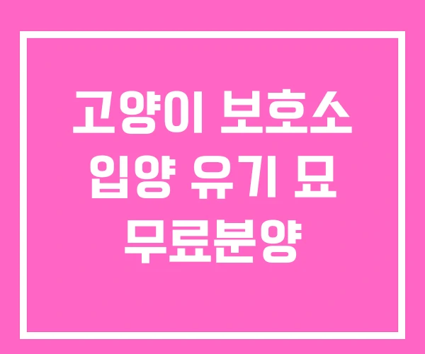 고양이 보호소 입양 유기 묘 무료분양 고양이 보호소 입양 유기 묘 무료분양