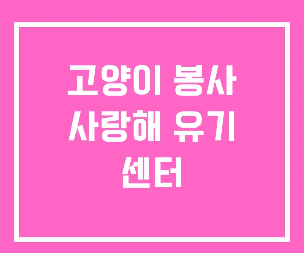 고양이 봉사 사랑해 유기 센터 고양이 봉사 사랑해 유기 센터