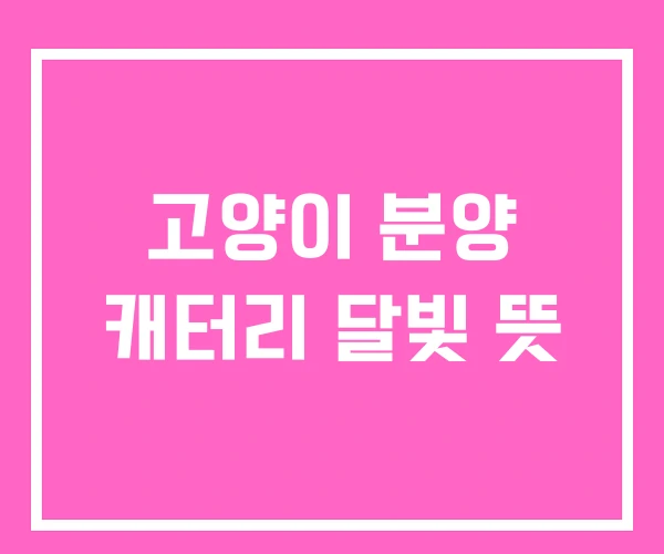 고양이 분양 캐터리 달빛 뜻
