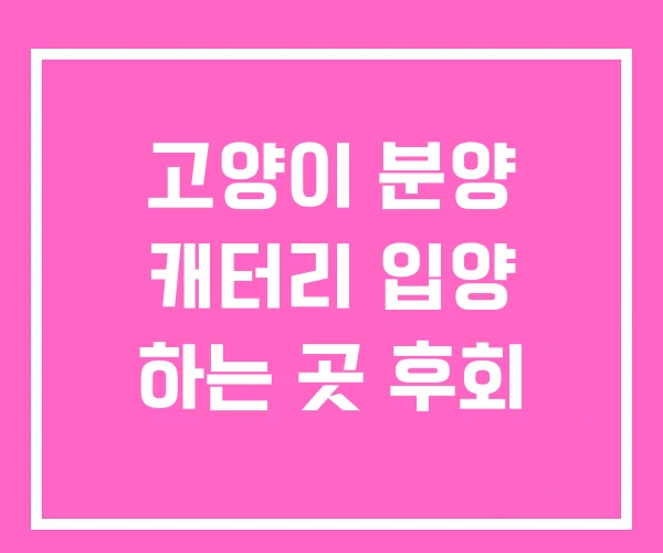 고양이 분양 캐터리 입양 하는 곳 후회