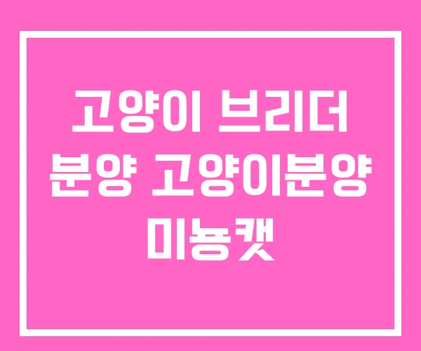 고양이 브리더 분양 고양이분양 미뇽캣