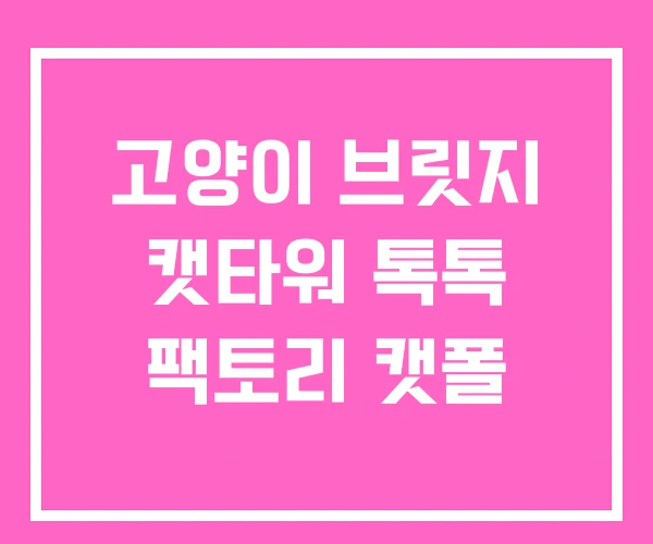 고양이 브릿지 캣타워 톡톡 팩토리 캣폴