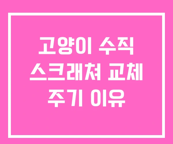 고양이 수직 스크래쳐 교체 주기 이유