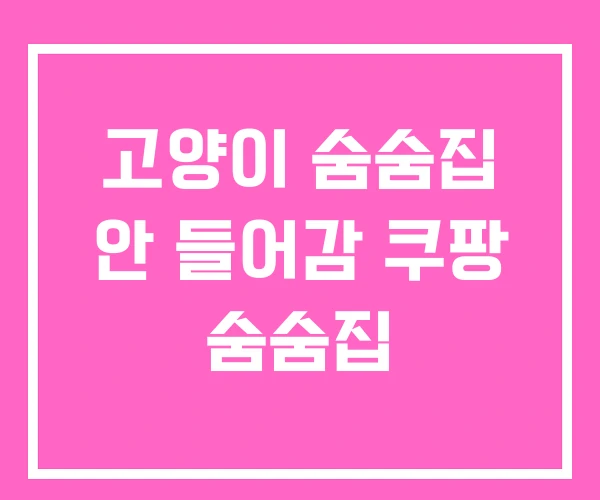 고양이 숨숨집 안 들어감 쿠팡 숨숨집
