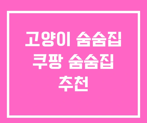 고양이 숨숨집 쿠팡 숨숨집 추천