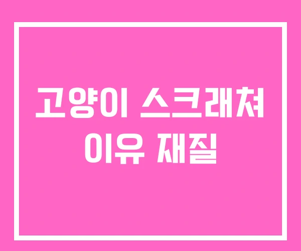 고양이 스크래쳐 이유 재질