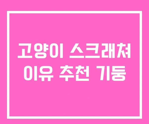 고양이 스크래쳐 이유 추천 기둥