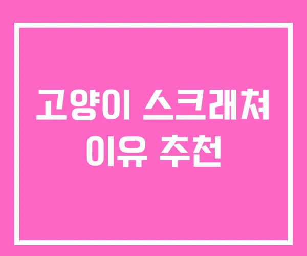 고양이 스크래쳐 이유 추천