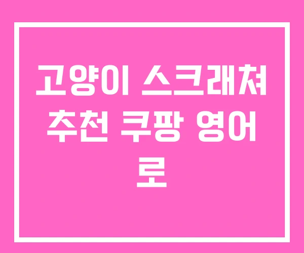 고양이 스크래쳐 추천 쿠팡 영어 로