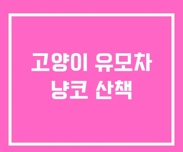 고양이 유모차 냥코 산책