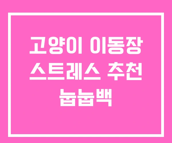 고양이 이동장 스트레스 추천 눕눕백