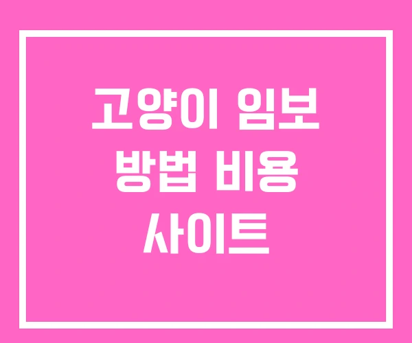 고양이 임보 방법 비용 사이트