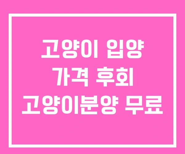 고양이 입양 가격 후회 고양이분양 무료