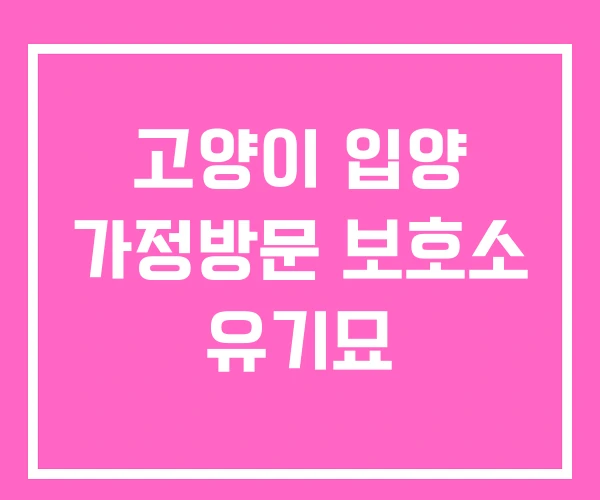 고양이 입양 가정방문 보호소 유기묘
