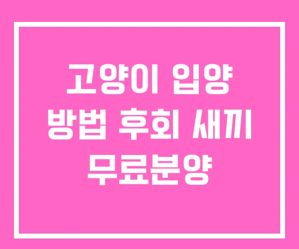 고양이 입양 방법 후회 새끼 무료분양