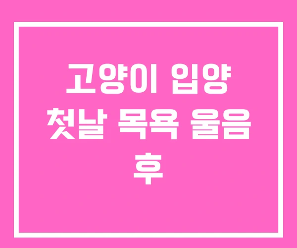 고양이 입양 첫날 목욕 울음 후