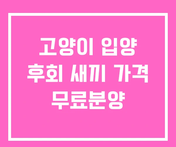 고양이 입양 후회 새끼 가격 무료분양