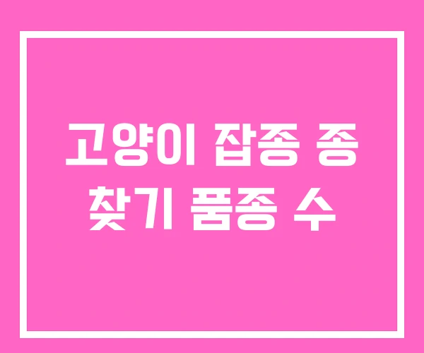고양이 잡종 종 찾기 품종 수