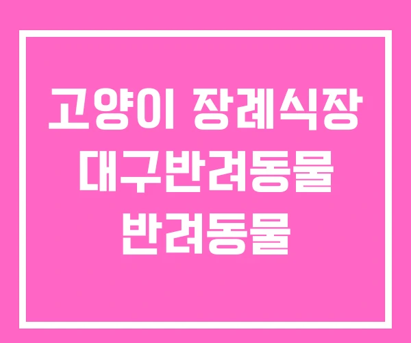 고양이 장례식장 대구반려동물 반려동물