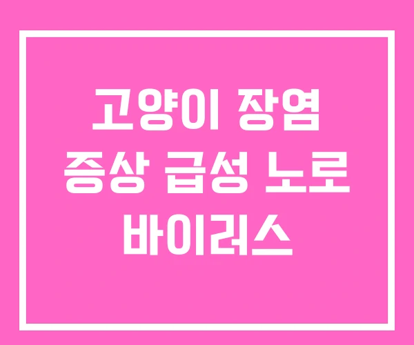 고양이 장염 증상 급성 노로 바이러스