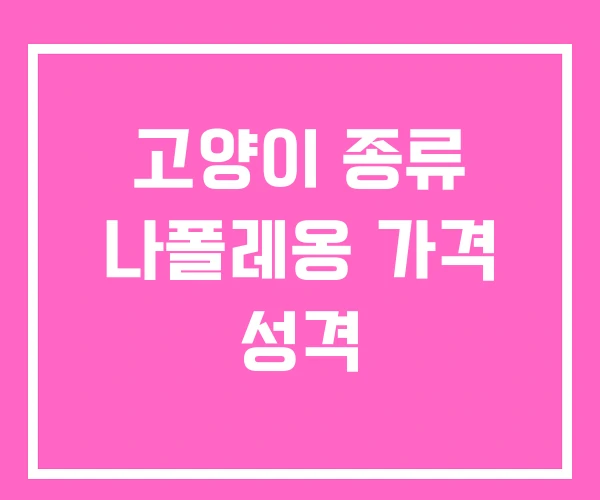 고양이 종류 나폴레옹 가격 성격