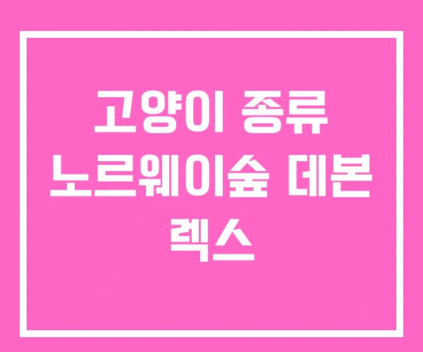 고양이 종류 노르웨이숲 데본 렉스