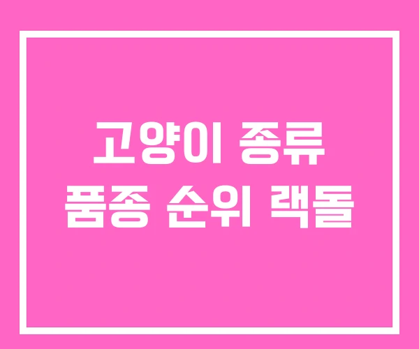 고양이 종류 품종 순위 랙돌