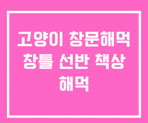 고양이 창문해먹 창틀 선반 책상 해먹