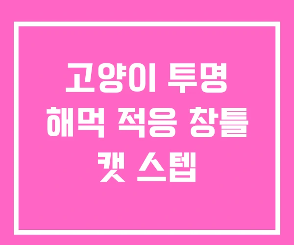 고양이 투명 해먹 적응 창틀 캣 스텝